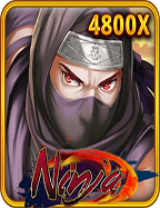 เรียนรู้วิธีเล่น Mega Joker แบบมือโปร